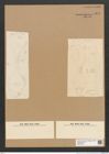 Rhabdonema sp. (de-Toni-Nr.: Genus 95) Zeichnungen Sammlung Grunow Nr. 6302 (NHMW-BOT-W0374927)